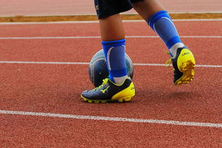 米兰体育官方网址入口-中国青少年篮球运动员身体机能发展研究，我国篮球青少年运动发展现状