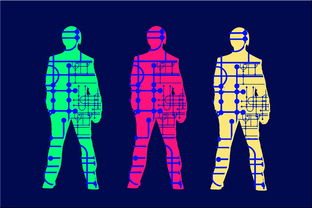 米兰体育网页版登陆-高校体育专业人才培养质量保障体系，体育人才培养方案心得体会