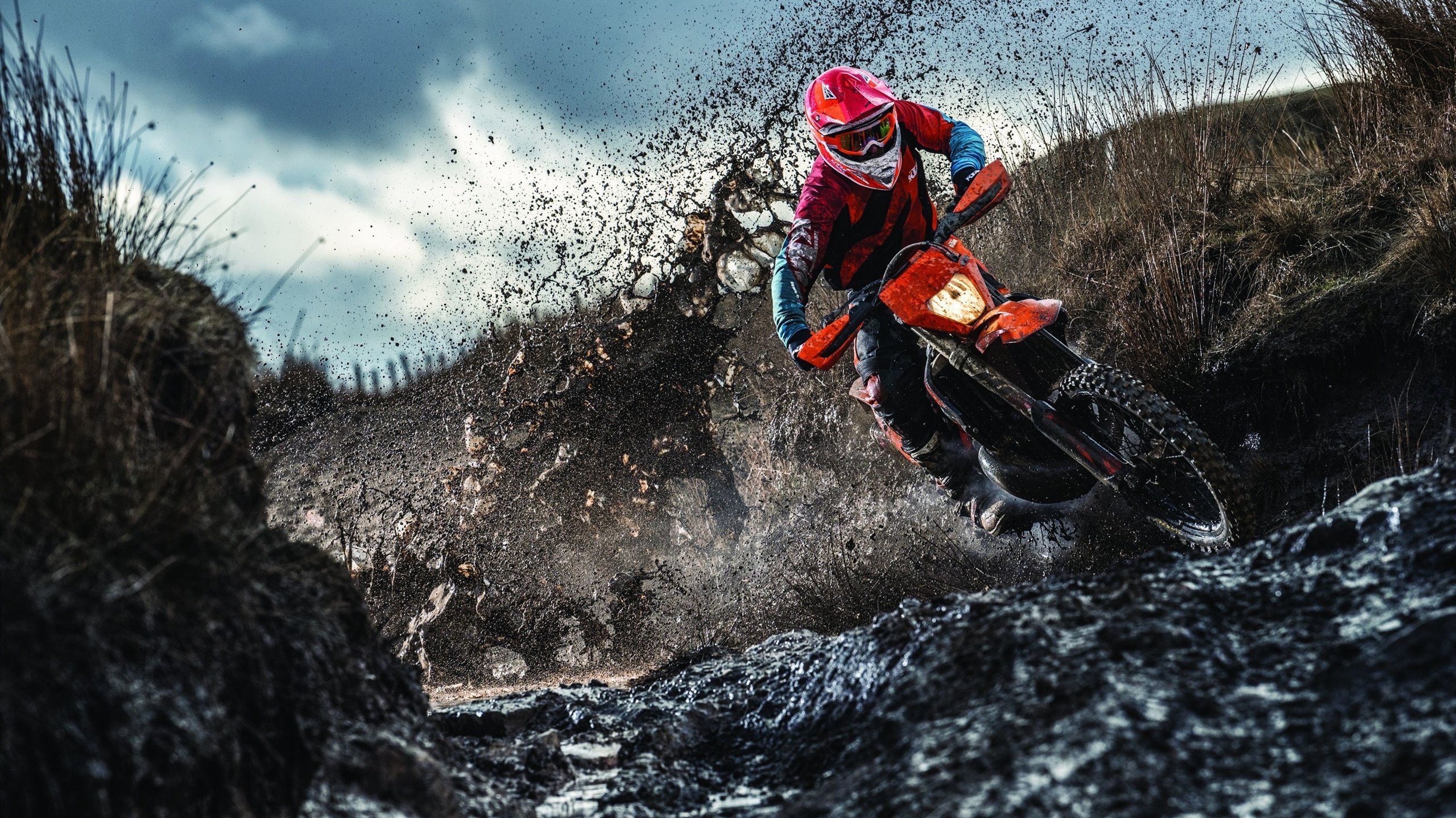 米兰体育入口-“跑者聚集！SHO-CHAN Run 2025香港赛道的极速对决”