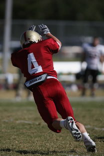 米兰体育app下载安装-五大联赛是否在中场搭配中加入更多防守倾向球员，五大联赛最强中场