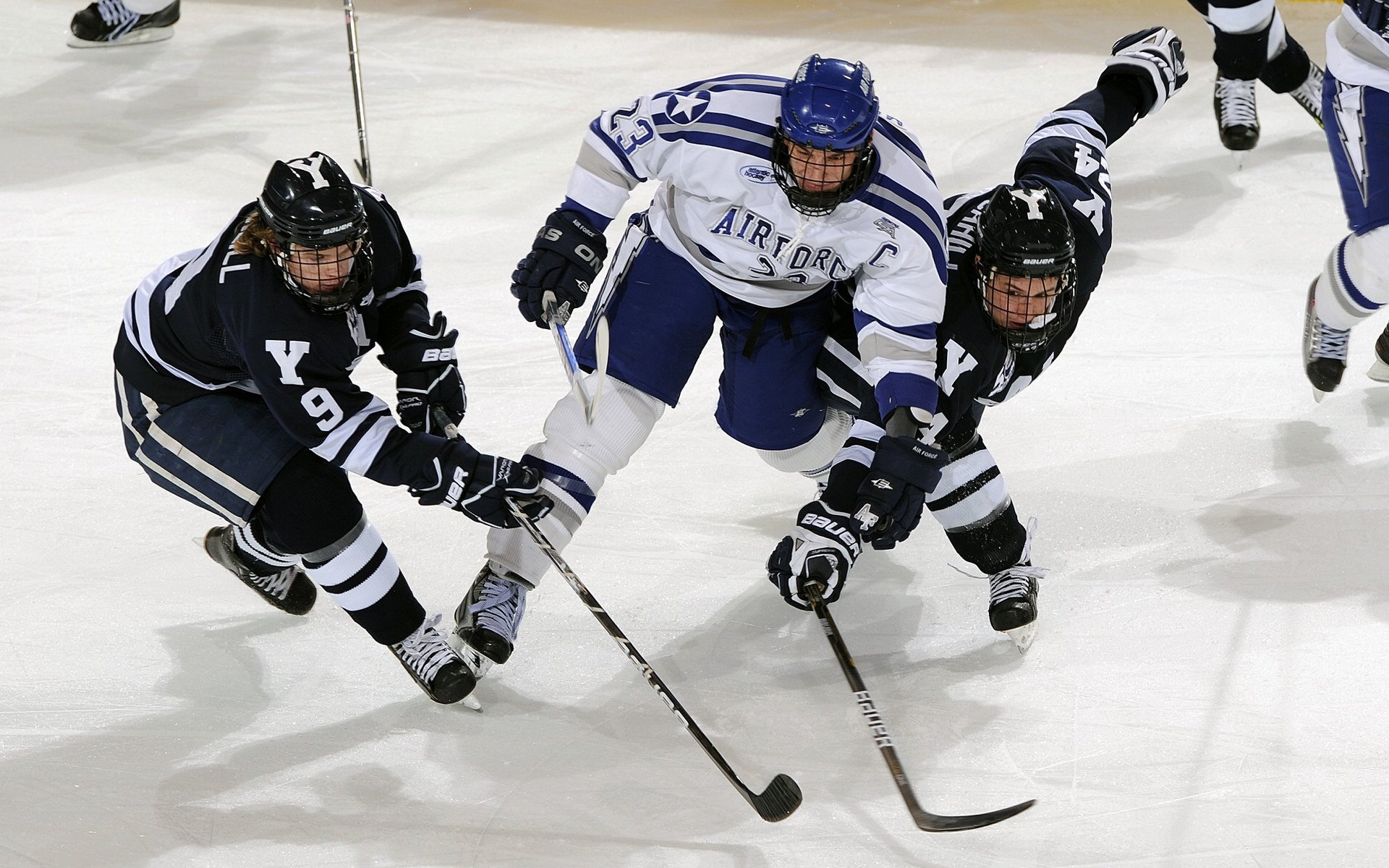体育文化交流活动丰富多彩，体育交流活动简讯