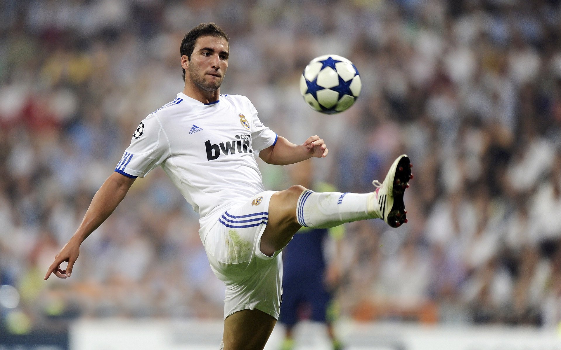 世界网球排名出现小幅变化